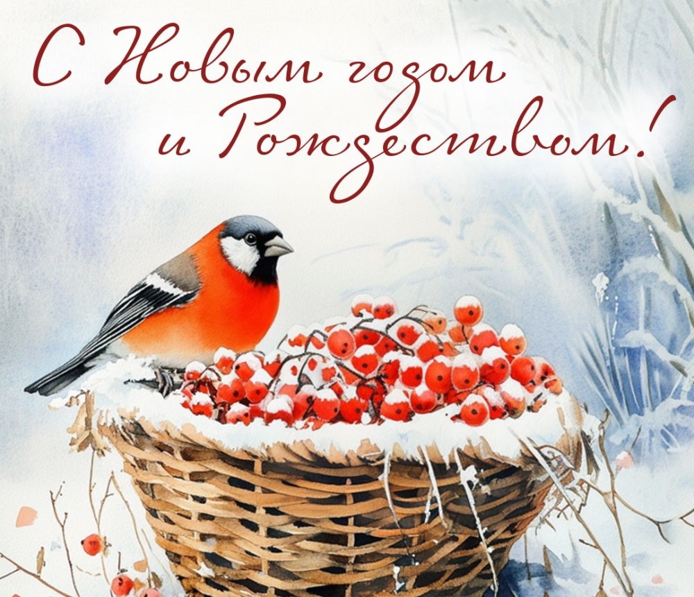 С наступающим Новым 2026 годом и Рождеством Христовым!